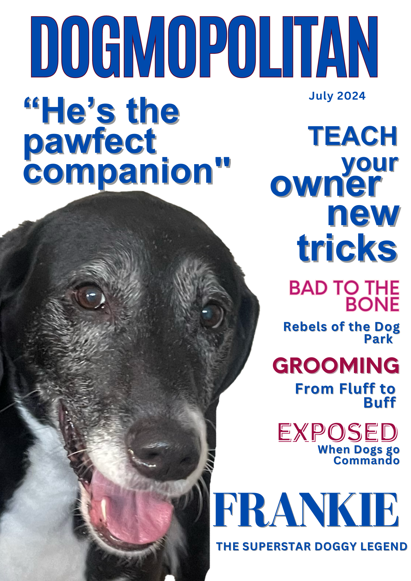 Digital Dogmopolitan Magazine Cover
