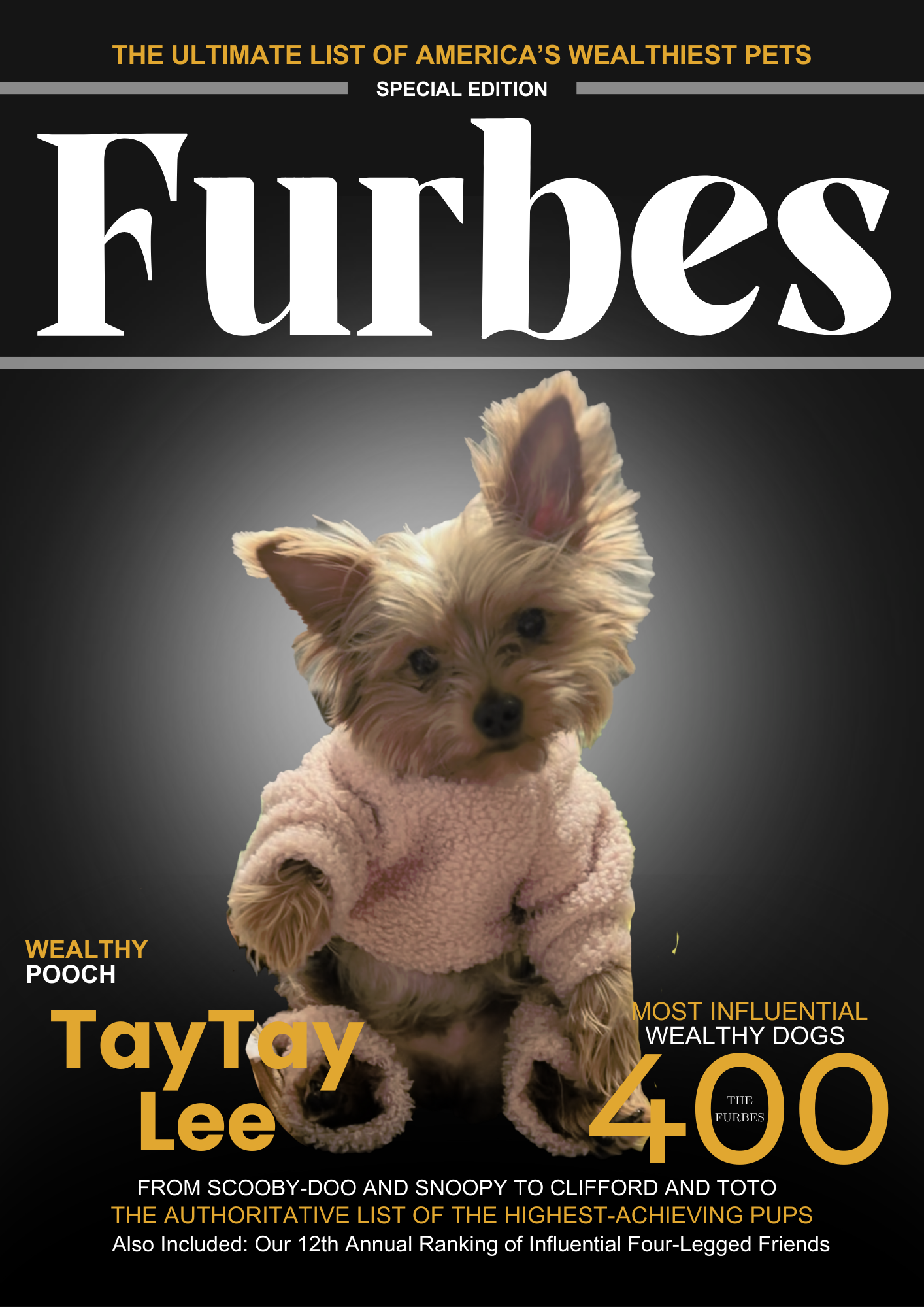 Digital Furbes Magazine Cover